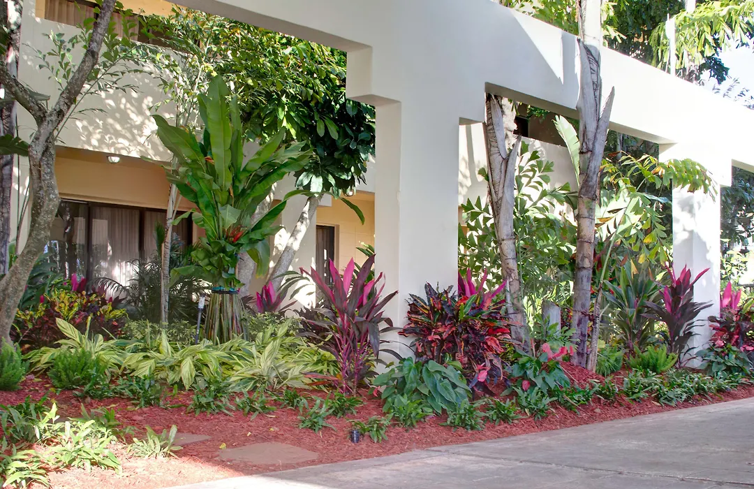 Boca Plaza-1